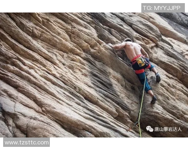 攀岩深度探索：揭秘上海攀岩队的运营模式与发展策略