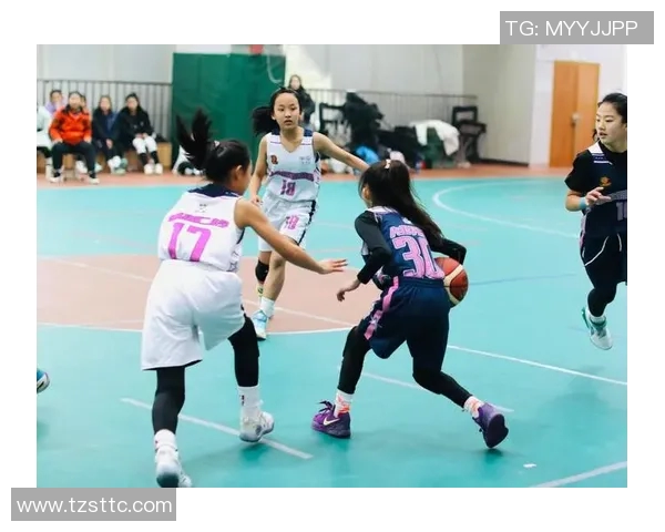 篮球技术排行榜：成都篮球队位居第1名