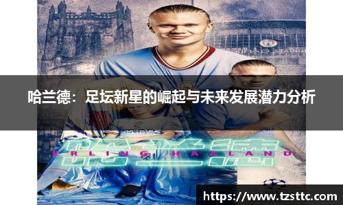 完美体育