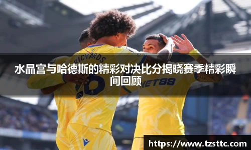 完美体育官网